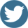Twitter Handmade Icon